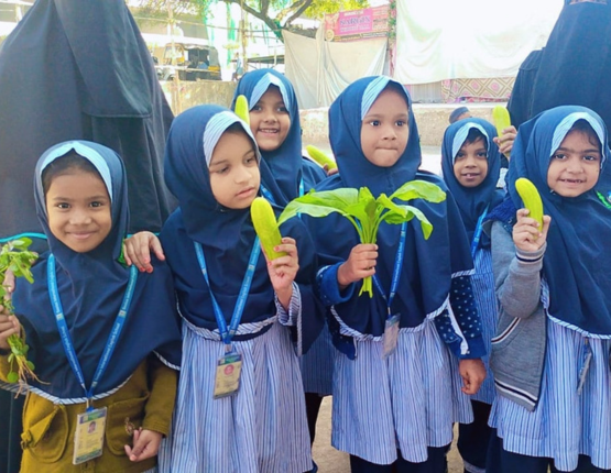 Vegetable Market Activity